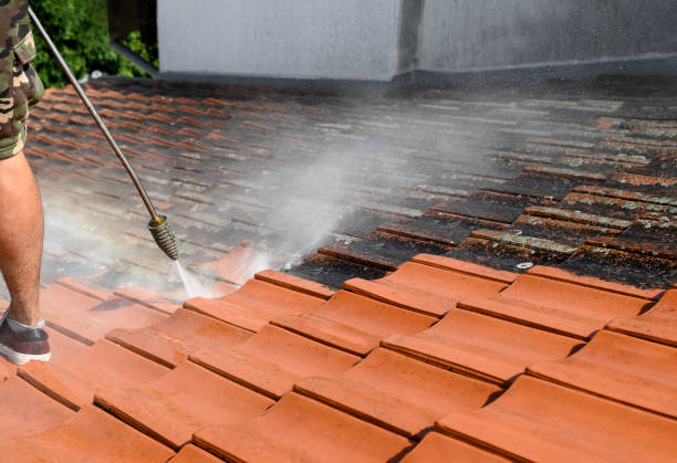 Best Pressure Washing Near Me  in Cotulla, TX
