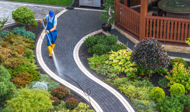 Best Exterior Home Cleaning  in Cotulla, TX